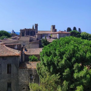 La cité de Carcassonne 🤩🤩.#carcassonne #france